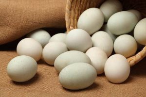 农家散养鲜鸭蛋 Raw Fresh Duck Egg