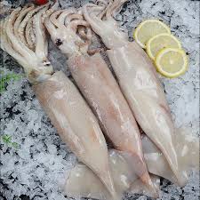 鱿鱼（小只）Small Squid