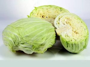 包心菜 Cabbage 1pcs
